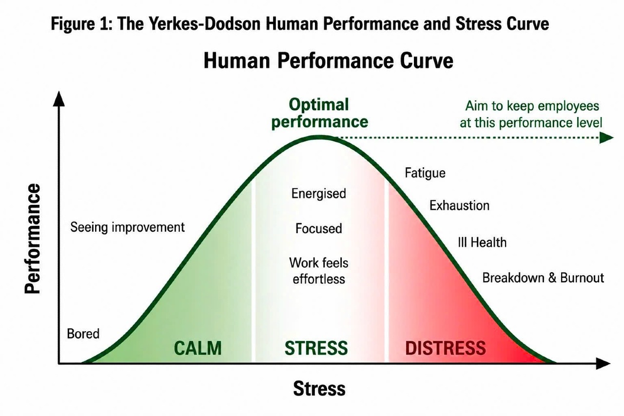LÀM SAO TẬN DỤNG TỐT “STRESS” KHI THI